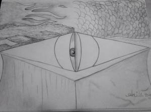 fish eye abstract