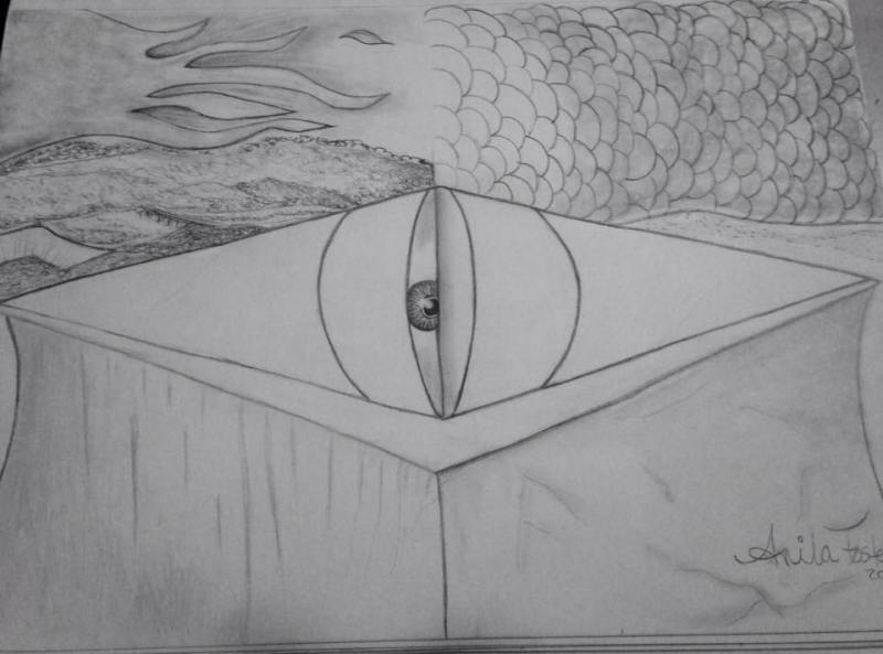 fish eye abstract