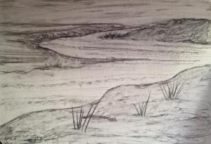 Pencil Drawing