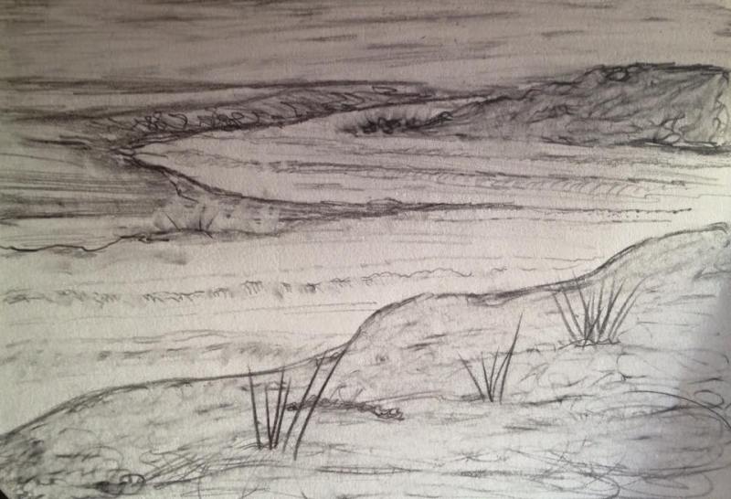 Pencil Drawing